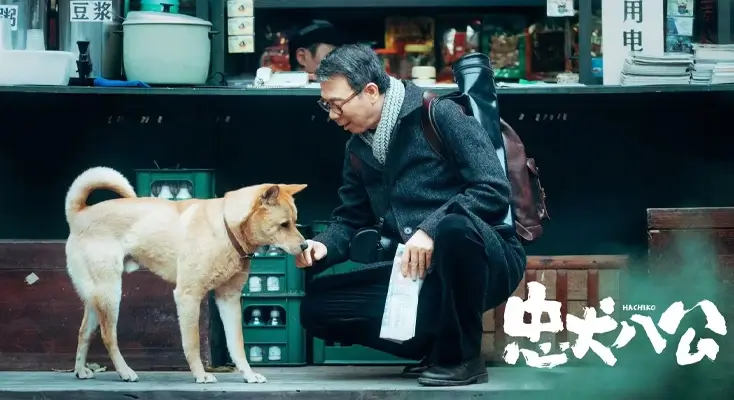 在海外用什么软件看中国电视使用方法